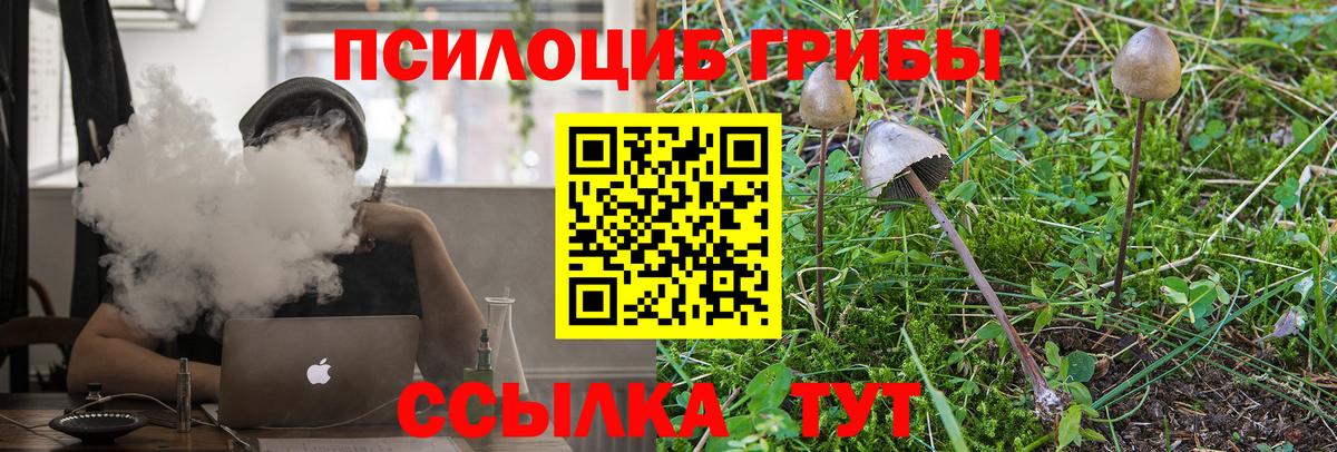 Псилоцибиновые грибы мицелий Еманжелинск