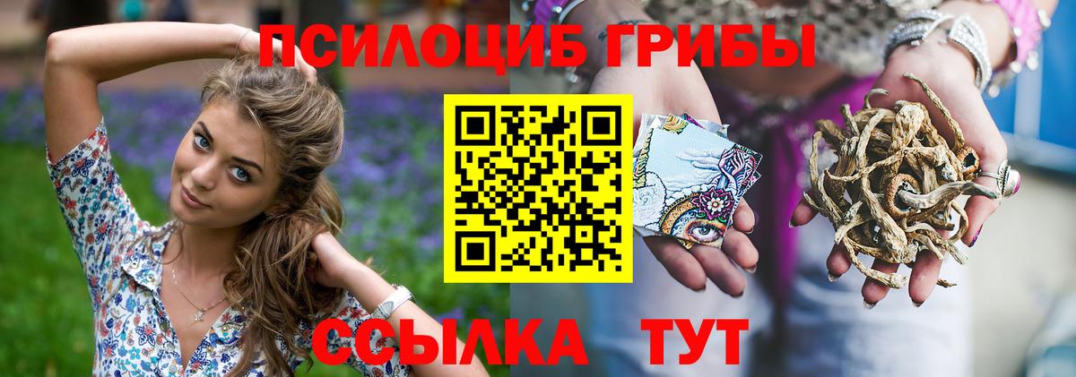 Псилоцибиновые грибы ЛСД  Вход с VPN  Еманжелинск 